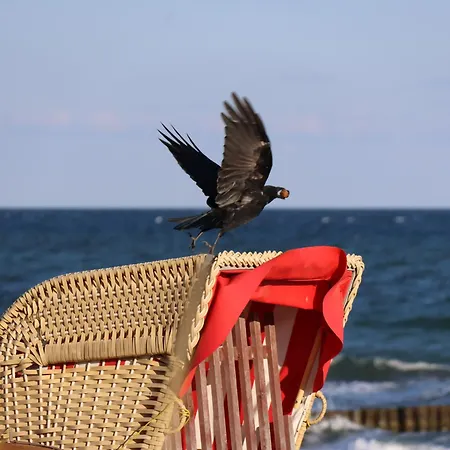 Fairschlafen Boutique Mit Hotelkomfort - Kapitaenszimmer 0-17 Mit Privater Terrasse Ξενοδοχείο
